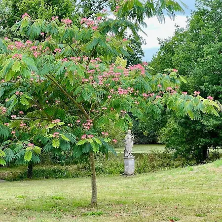 Logis De La Grossetiere 13 Personnes 15 Min De L'ocean * Sainte-Foy (Vendee)