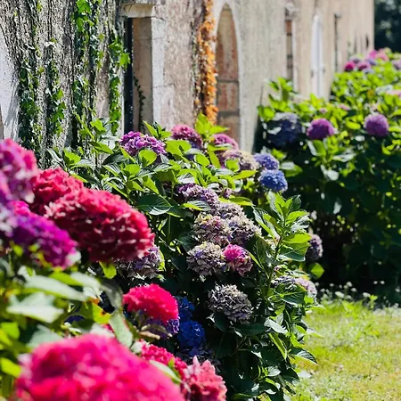 Logis De La Grossetiere 13 Personnes 15 Min De L'ocean بيت للعطل