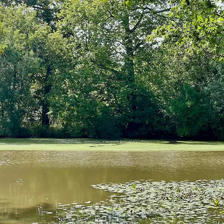 بيت للعطل Logis De La Grossetiere 13 Personnes 15 Min De L'ocean