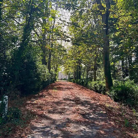 بيت للعطل Logis De La Grossetiere 13 Personnes 15 Min De L'ocean *