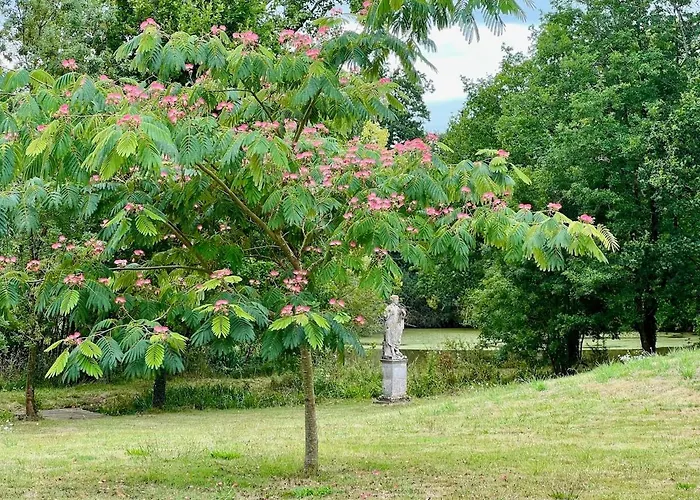 Logis De La Grossetiere 13 Personnes 15 Min De L'ocean * Sainte-Foy (Vendee)