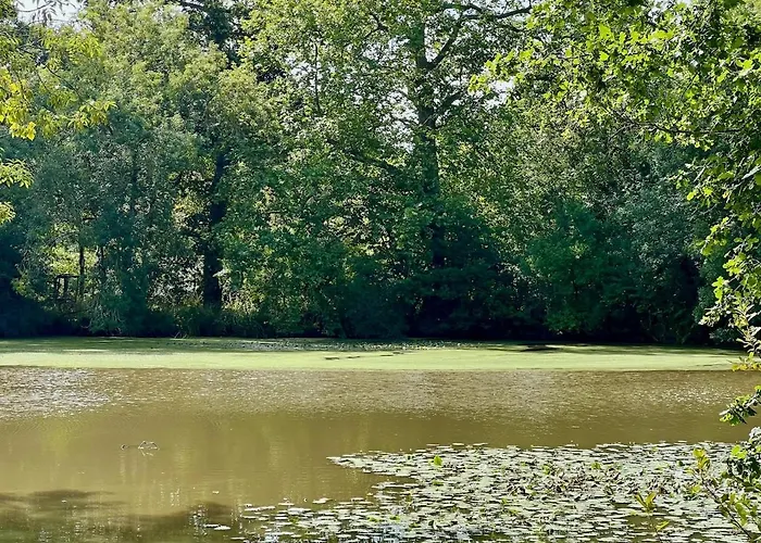 Casa de Férias Logis De La Grossetiere 13 Personnes 15 Min De L'ocean