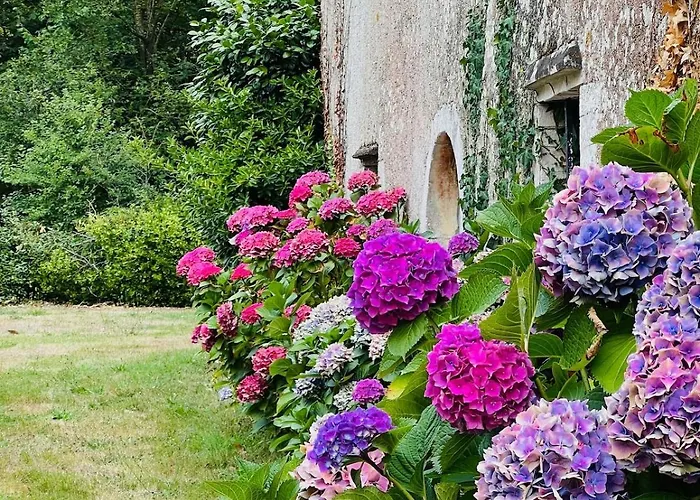 Casa de Férias Logis De La Grossetiere 13 Personnes 15 Min De L'ocean *