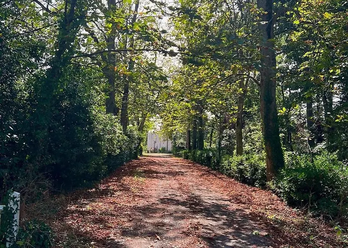 Casa de Férias Logis De La Grossetiere 13 Personnes 15 Min De L'ocean *